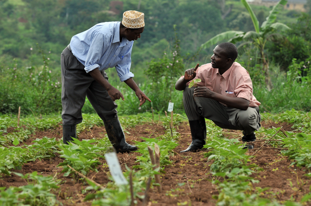 a group of men in a field