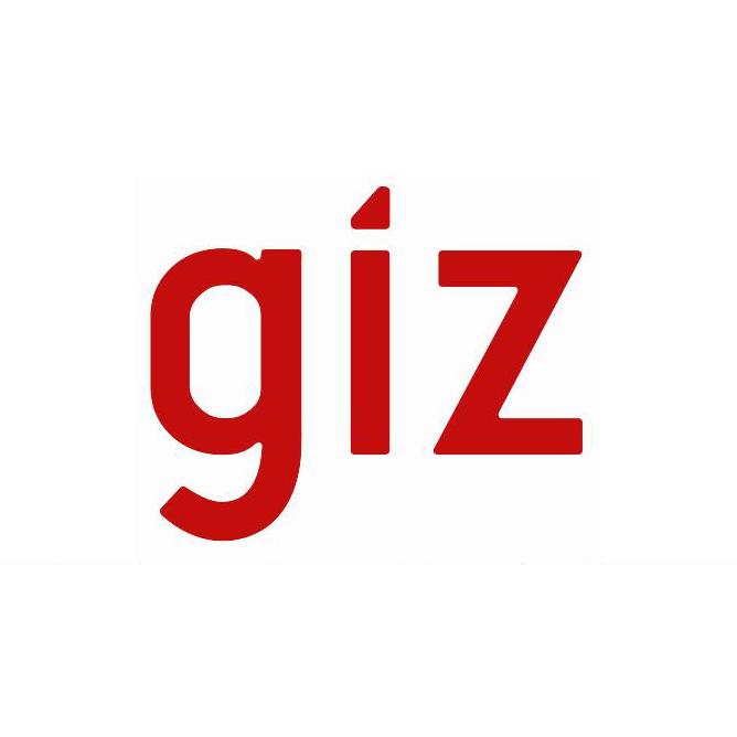 Client-Logo-GIZ
