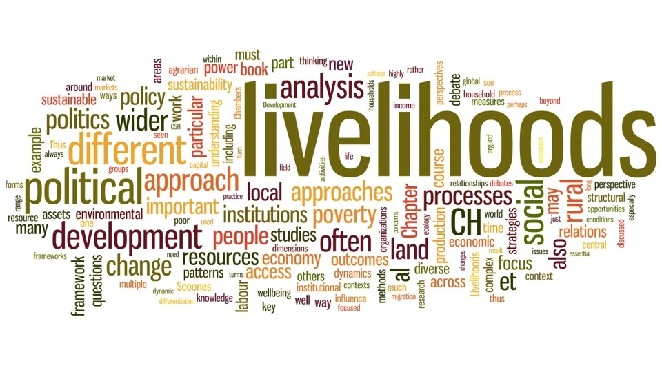 Socio-economic and livelihood assessments services in East Africa